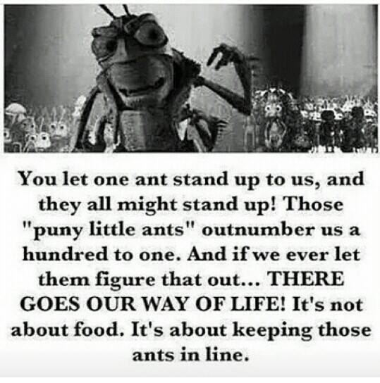 153 News - Because Censorship Kills - ants
