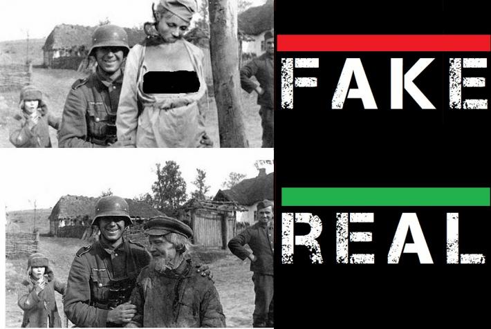 fake vs real.jpg