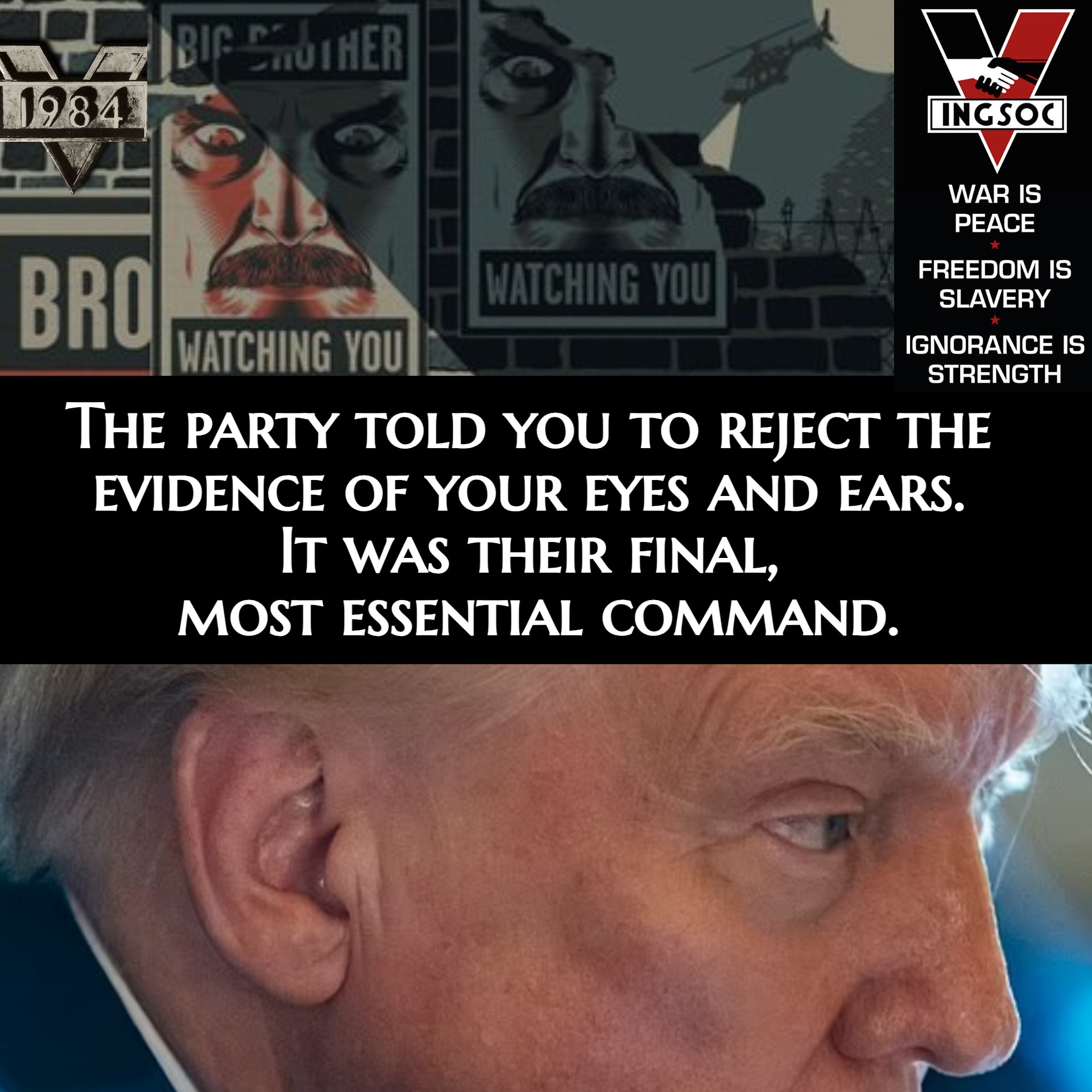 mine trump orwell.jpeg