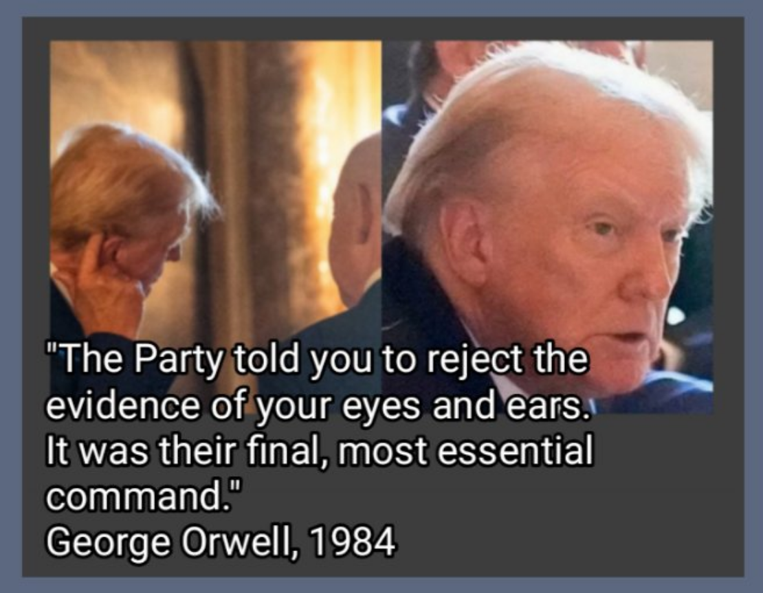 Screenshot 2024-07-28 at 15-50-24 HighImpactFlix on X If the FBI finally admits Trump was shot should we believe the opposite https __t.co_7xPfVQYjz4 _ X.png