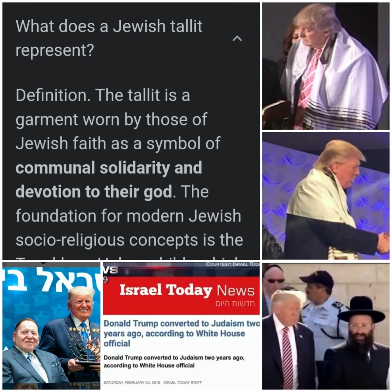 trump jew.jpeg