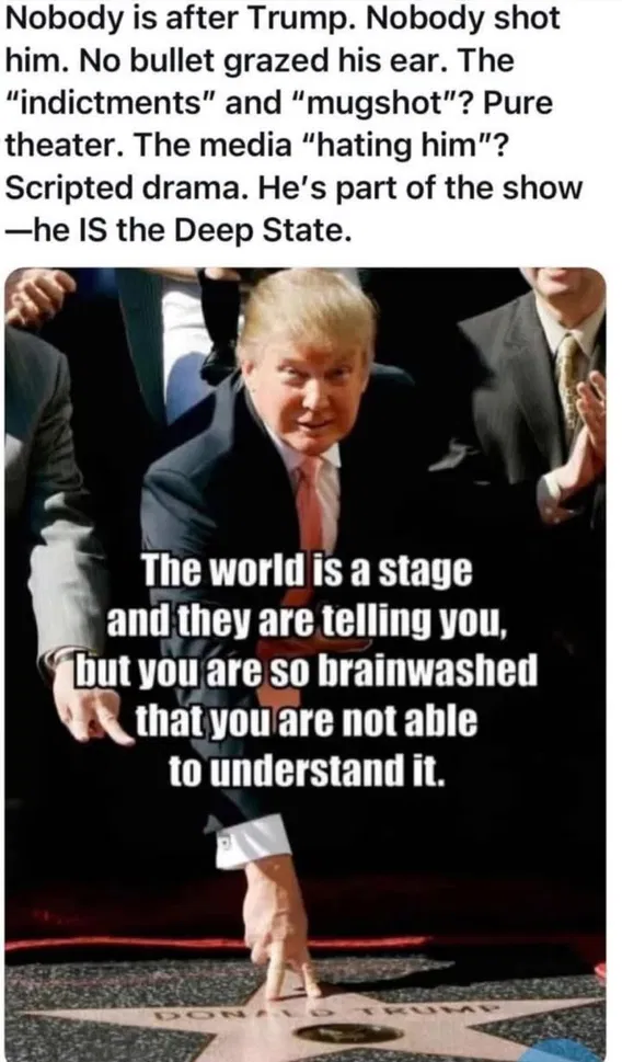 trump brainwashed maga.webp