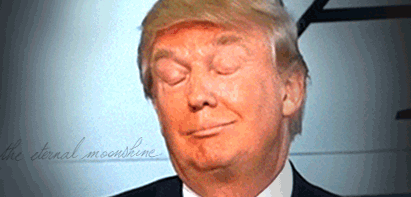 trump bruce lee.gif