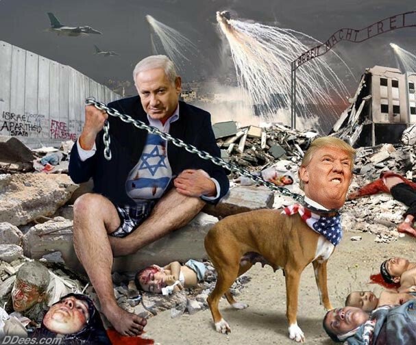 dees israel trump dog for jews.jpg