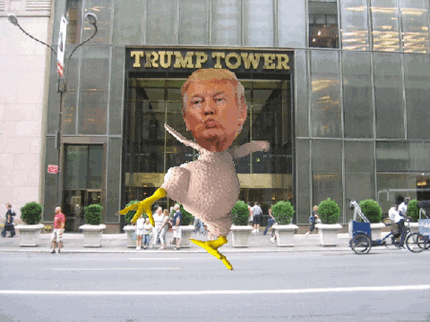 trump dancing chicken.gif