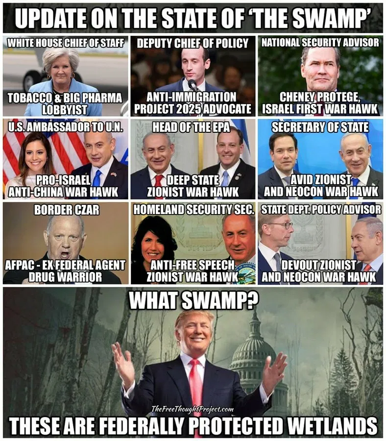 update on swamp trump jews.webp