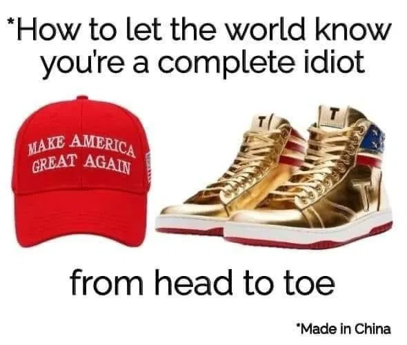 how to let the world know you are an idiot magatard trump.webp