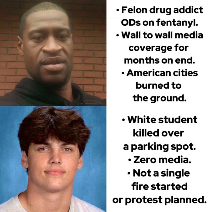 george floyd vs austin metcalf.png