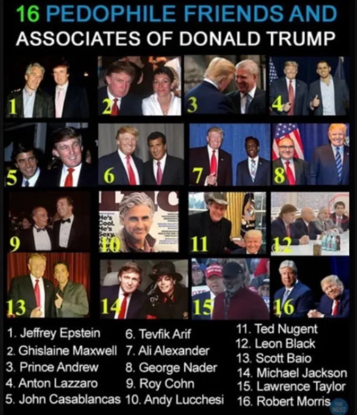 16 pedophile friends trump pedo.webp