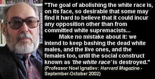 jews harvard destroy white race genocide.jpg