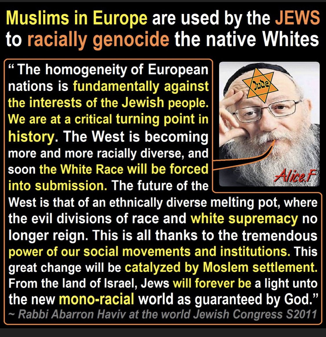 rabbi haviv muslims used for white genocide jews israel.jpg