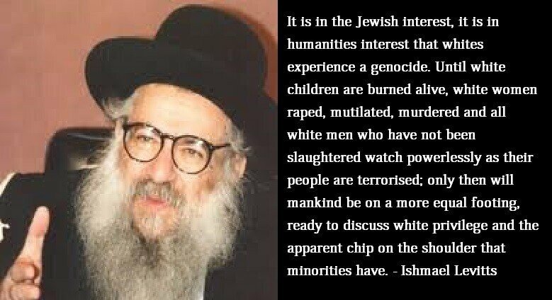 levitts jews white genocide rape burn.jpg