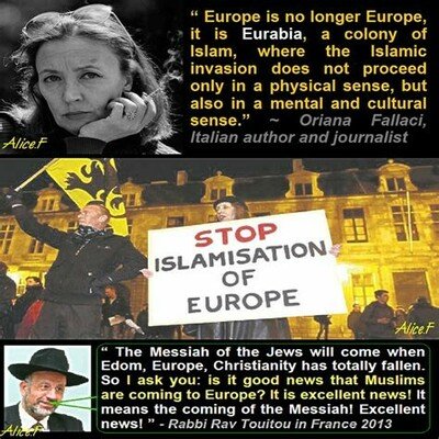 europe islam jews white genocide immigration.jpg