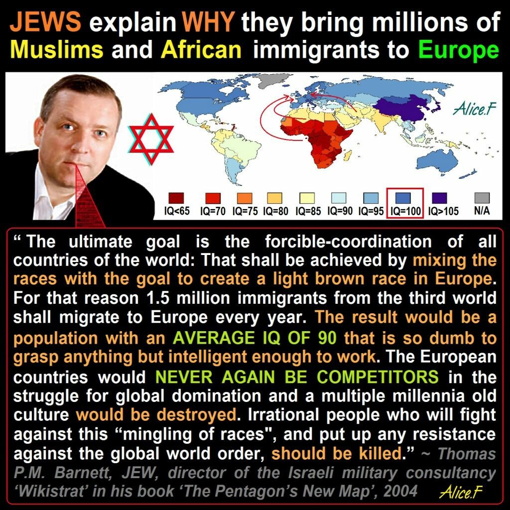 jews white genocide immigration nwo global plan european.jpg
