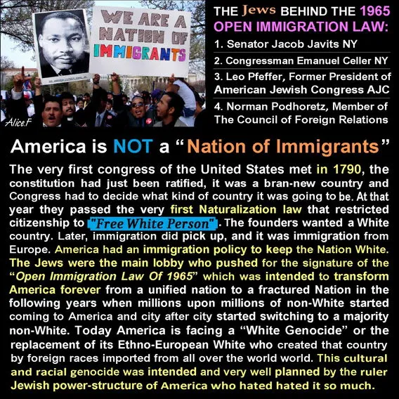 jews behind immigration law White genocide.webp