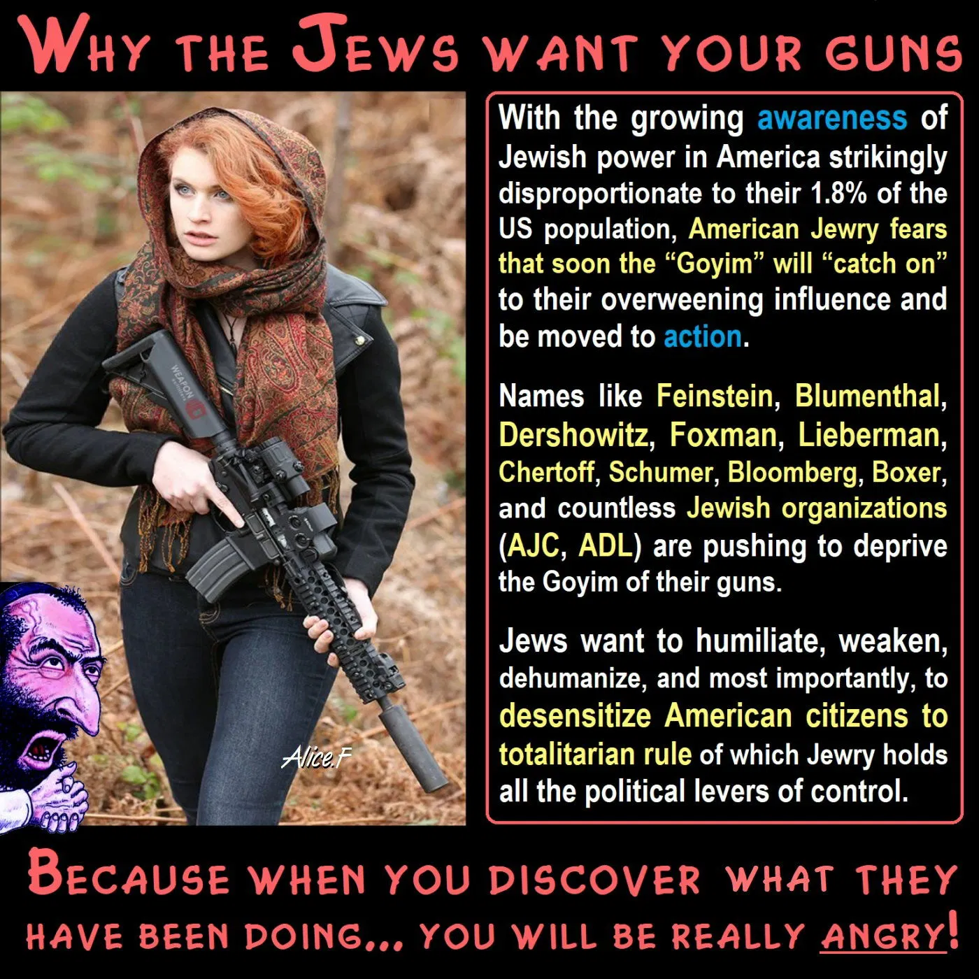 jews and gun control alice f.webp