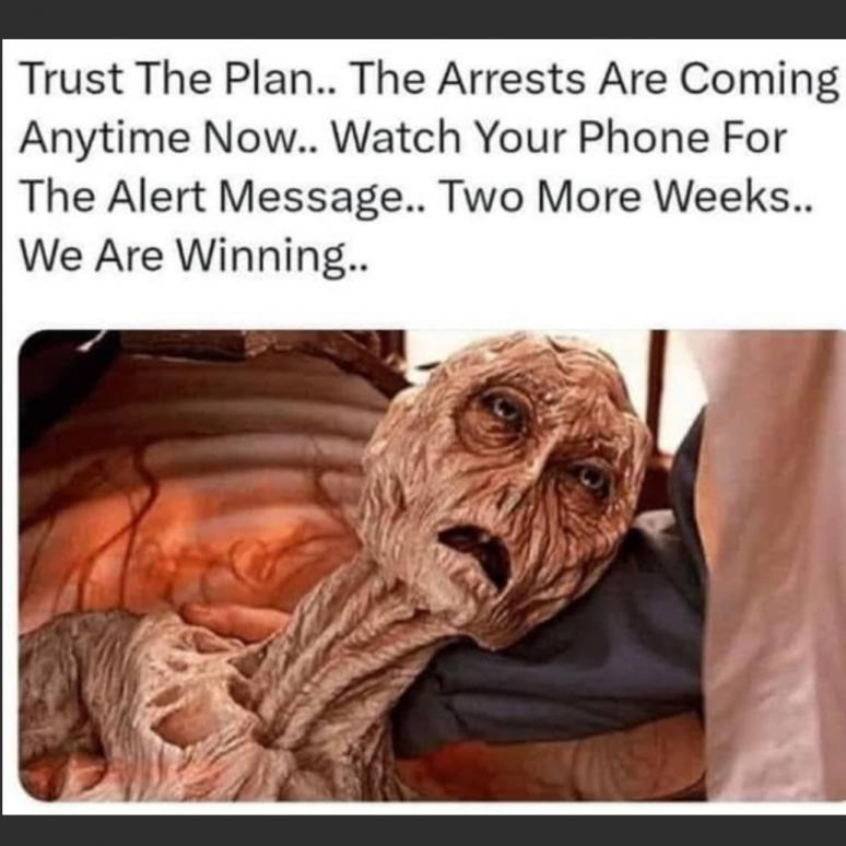 trust the plan 2 more weeks we are winning maga trump.jpg