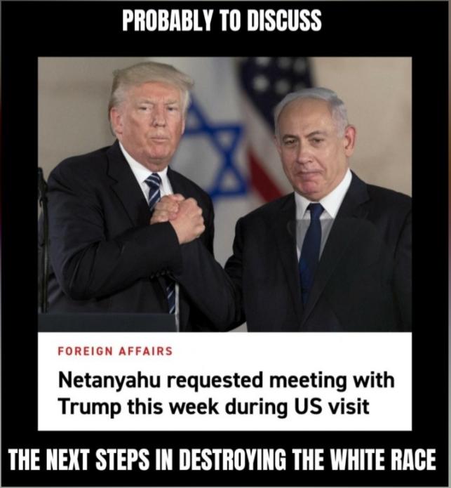 trump netanyahu plans for white race.jpg