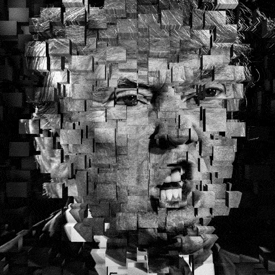 trump collage.gif
