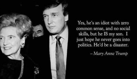 trump mother jew hopes her idiot son doesnt go into politics.jpg