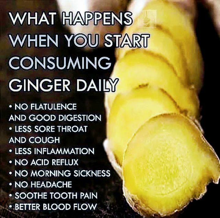 ginder health food.jpg