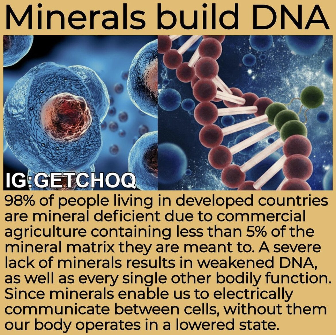 minerals help create dna health.jpg