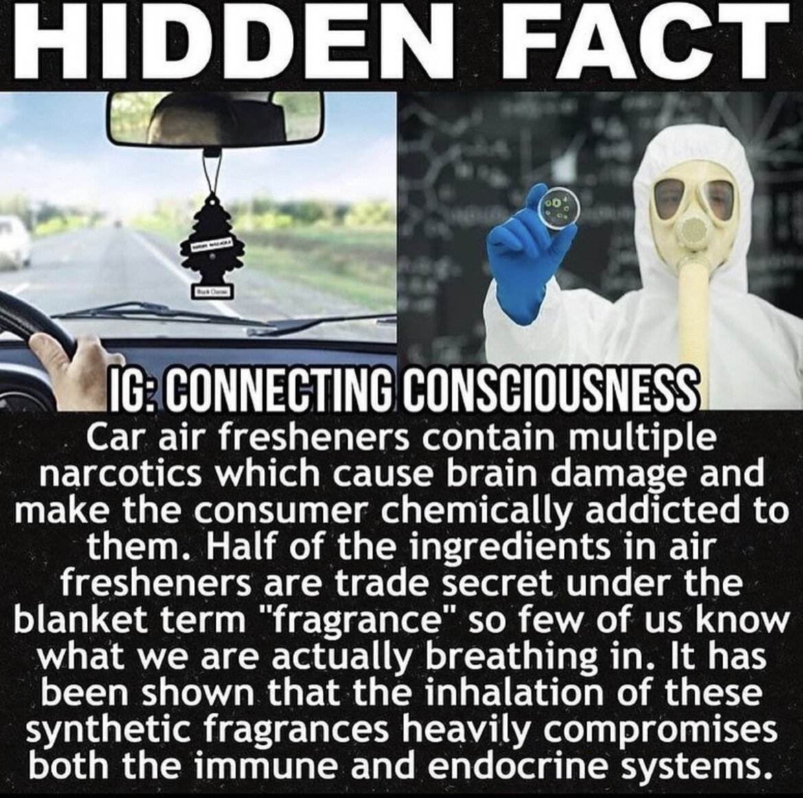 car air fresheners poison health chemicals.jpg