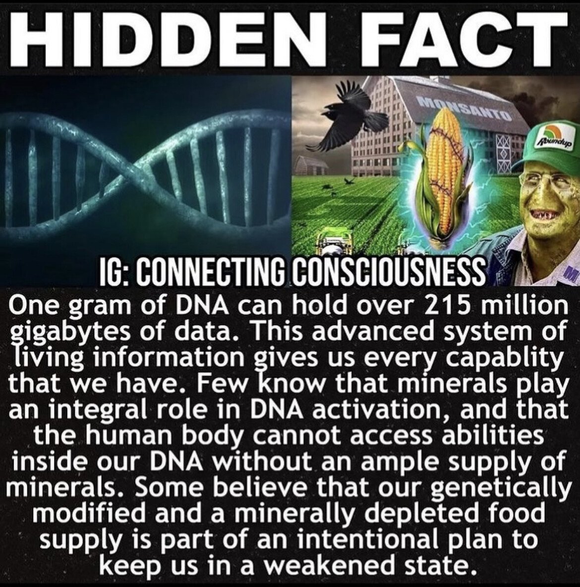dna gmo monsanto chemicals minerals health.jpg