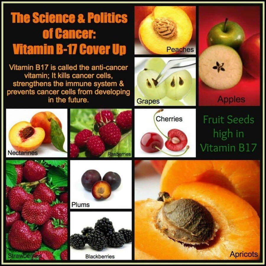 health food b17 coverup cancer.jpg