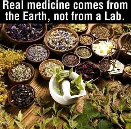 REAL MEDICINE COMES FROM EARTH NOT LAB HERBAL HEALTH.JPG