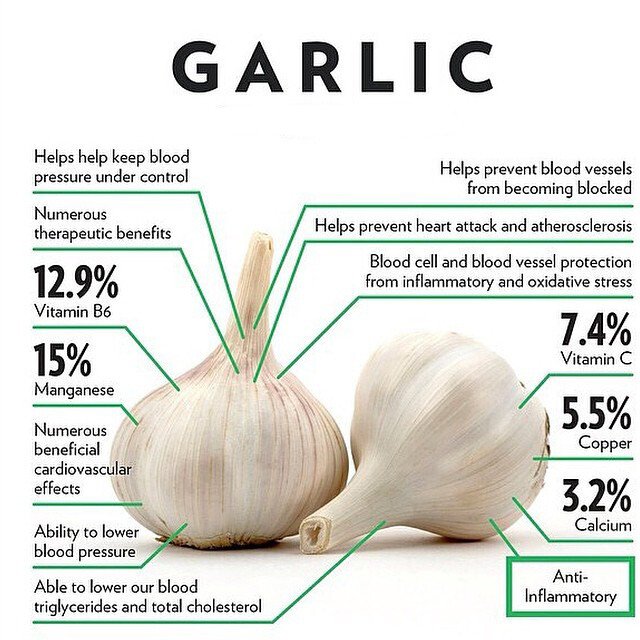 garlic health food herbal medicine.jpg