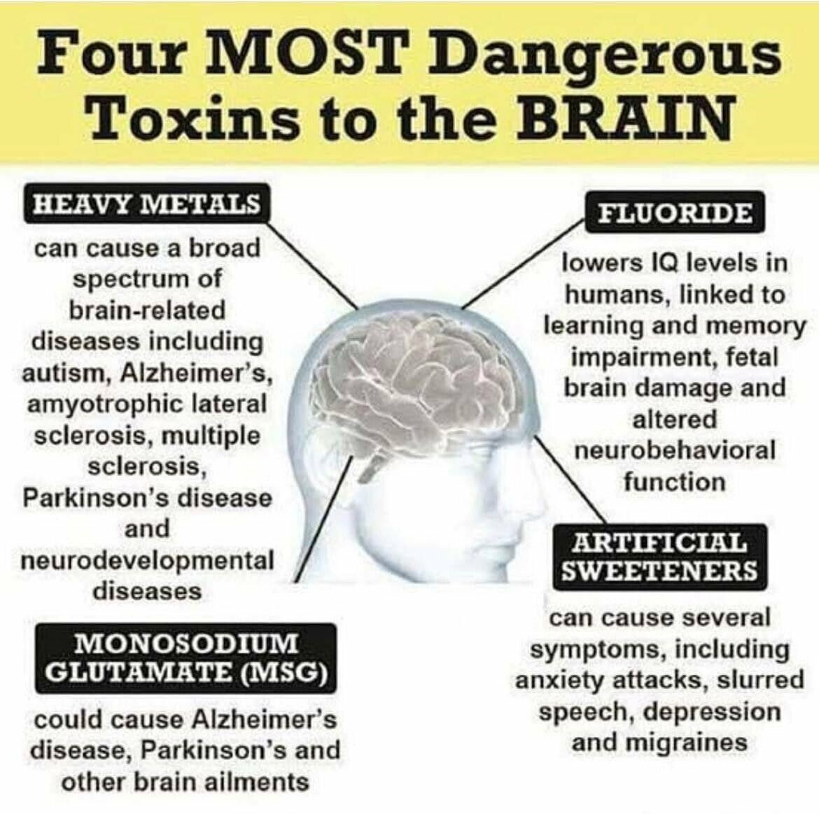 TOXINS TO BRAIN FLUORIDE ARTIFICAL SWEETENERS HEAVY METALS HEALTH WATER FOOD MSG.JPG