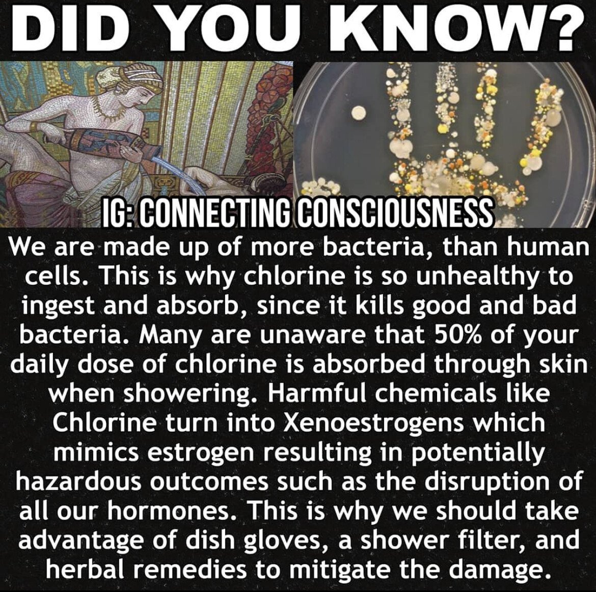 chlorine destroys health water.jpg
