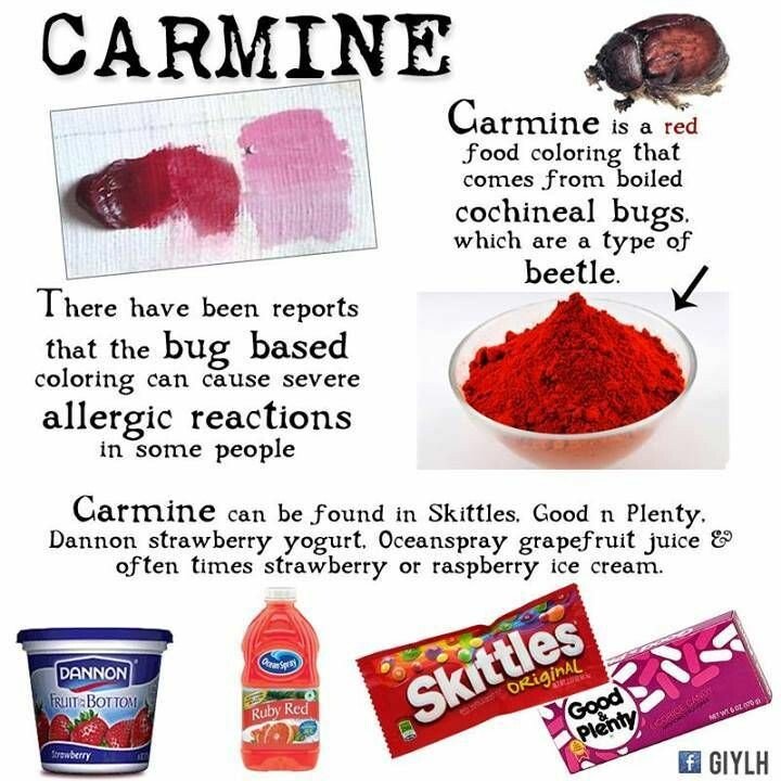 carmine coloring from bugs food health.jpg