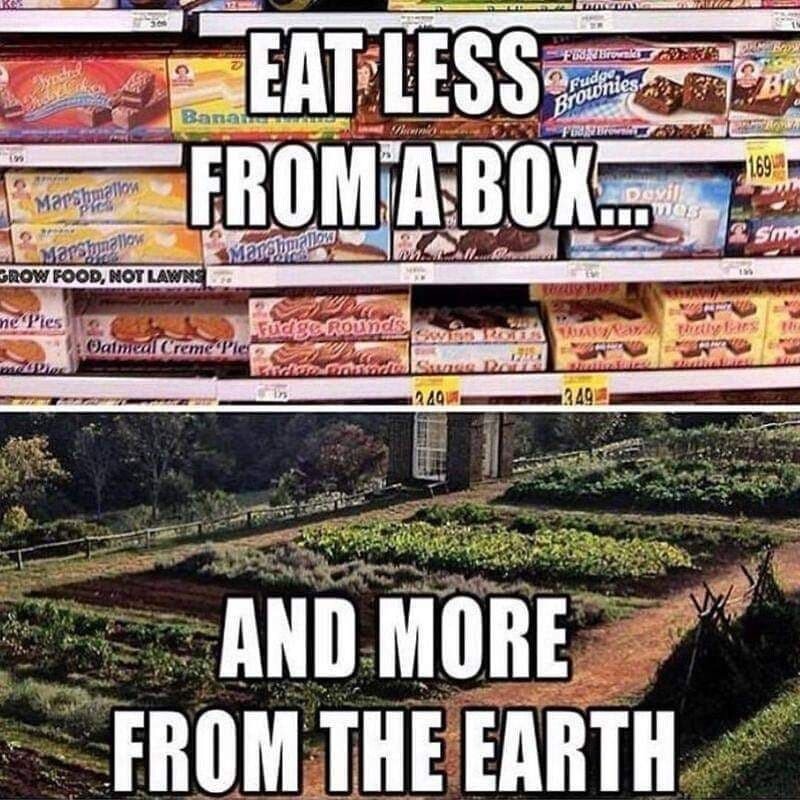 EAT LESS FROM BOX MORE FROM EARTH FOOD HEALTH.JPG