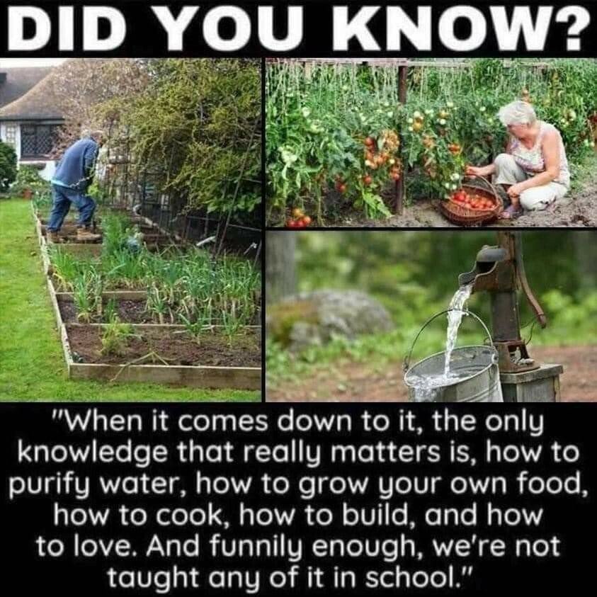 how to grow food love nothing taught in school food health.jpg