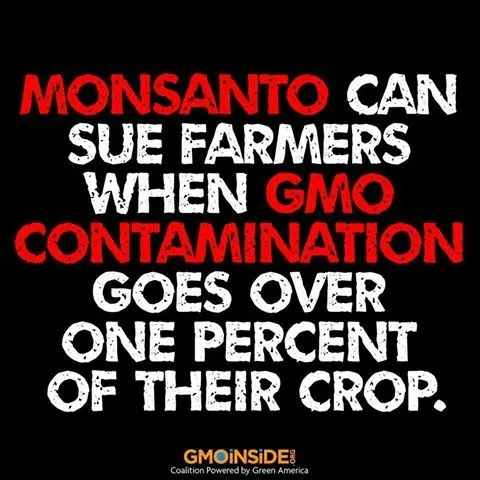 monsanto can sue farmers.webp