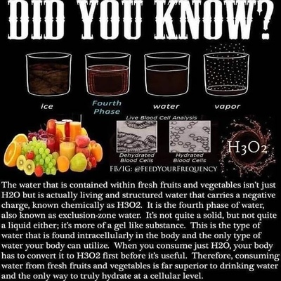 water contained in fruit vegetables structured food health.jpg