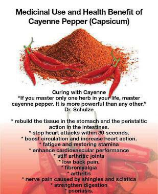 medicinal use cayenne pepper health herbal medicine.jpg