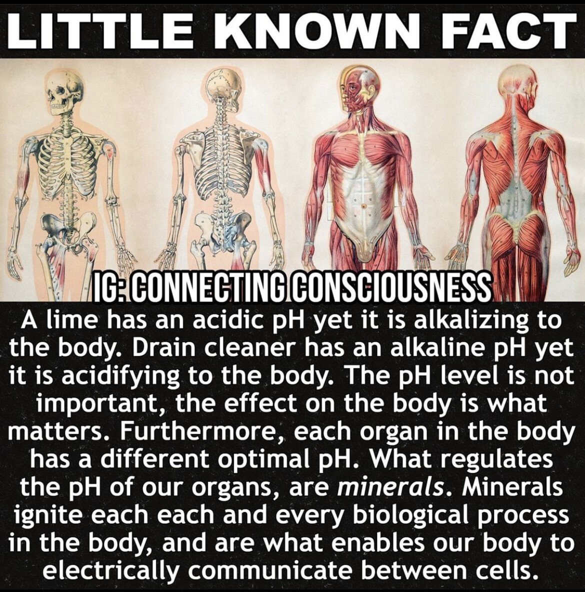 minerals acidic ph cancer health.jpg