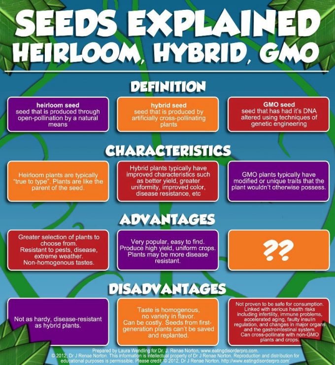 SEEDS HYBRID GMO.JPG