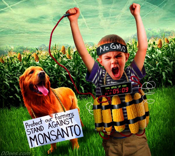 dees no gmo boy bomb corn boycott.jpg