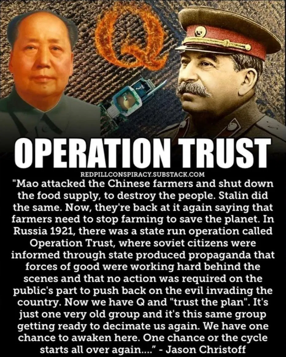 operation Trust Q Trump.webp