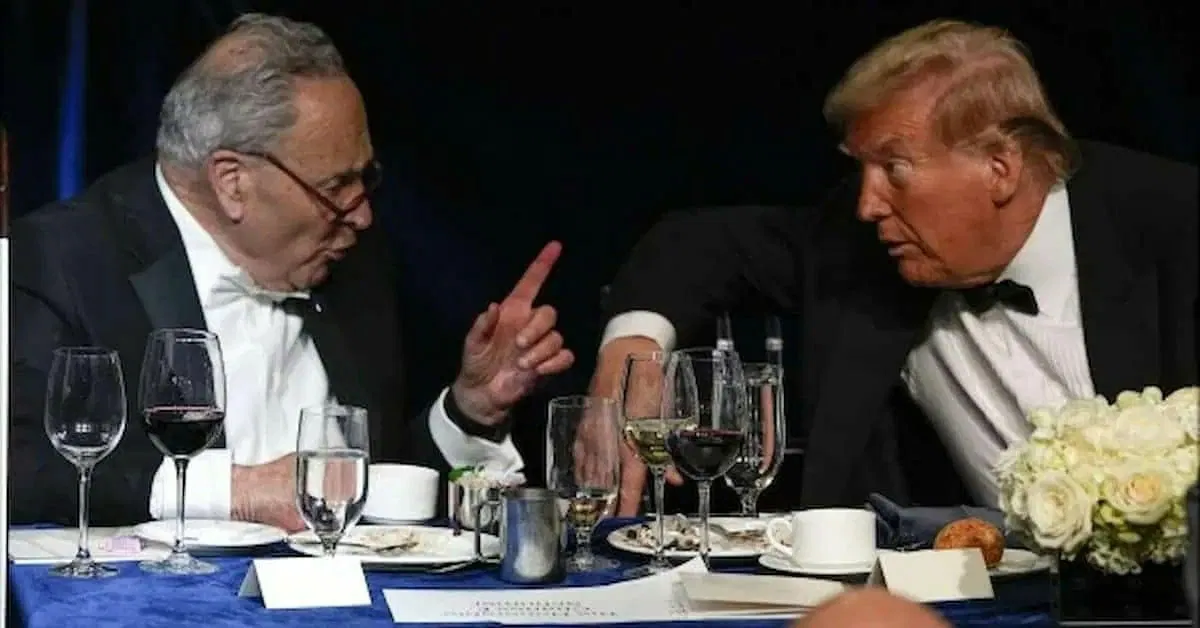 chuck schumer jew trump.webp