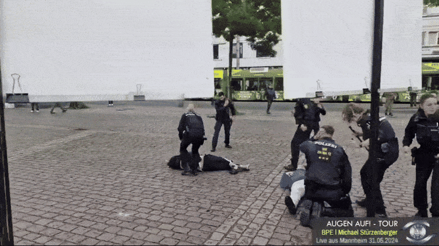 mannheim fake stabbong.gif