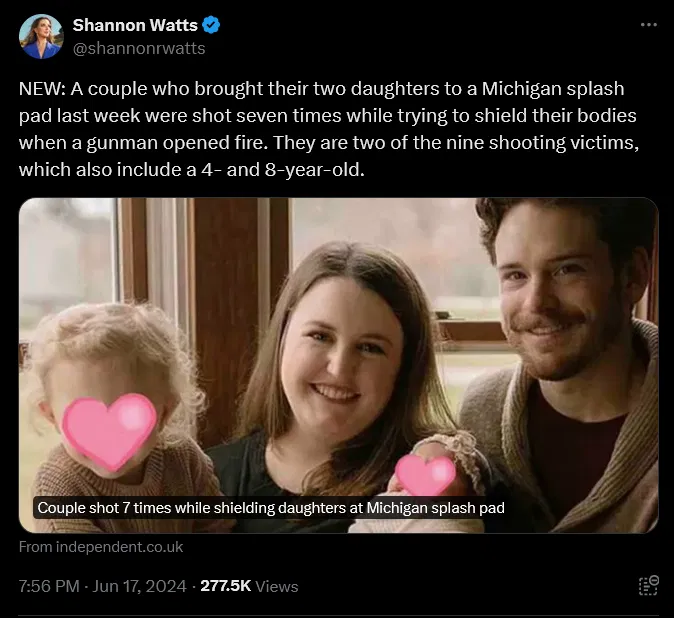 shannon watts rochester hills hoax.webp