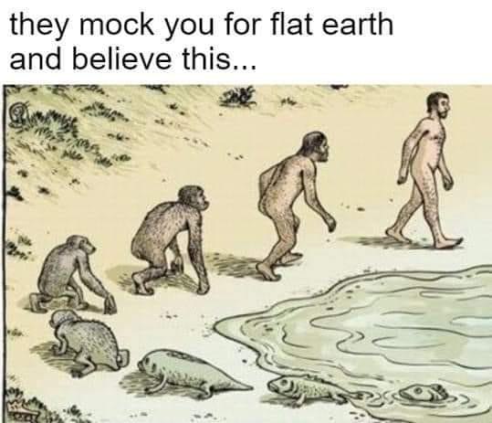 53c6c7e3-45a0-4e29-8949-5fb0747d5e40.jpeg
