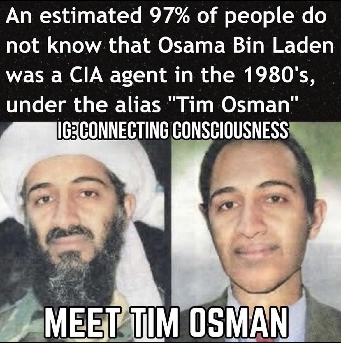 osama bin laden cia.jpg