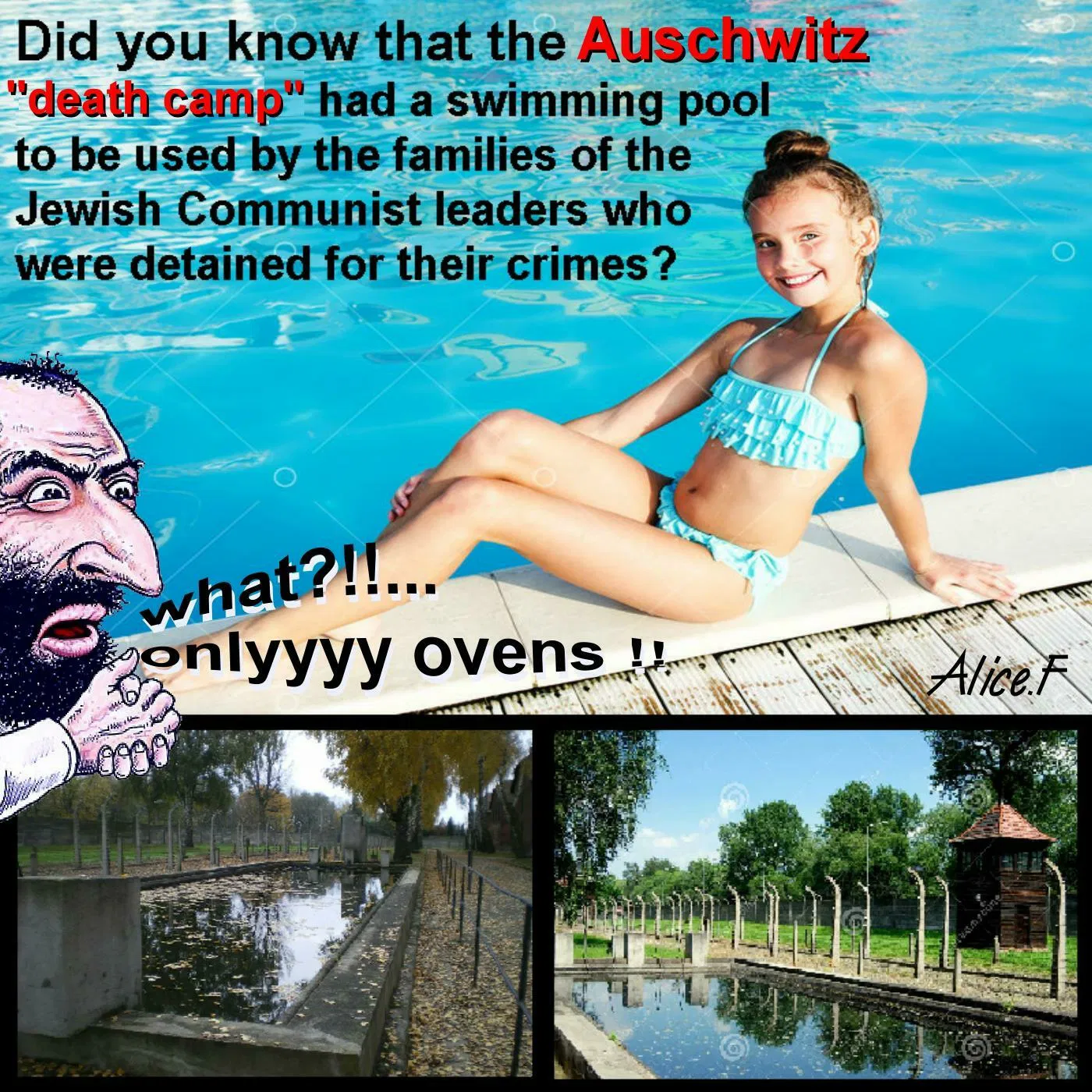 auschwitz swimming pool not a death camp WW2 jews lies holocaust.webp