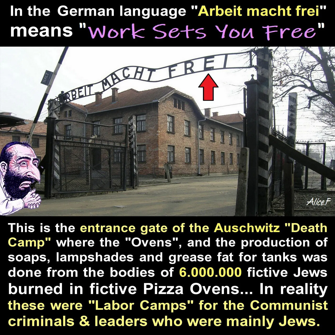 work camps not death camps holocaust jews lies.webp